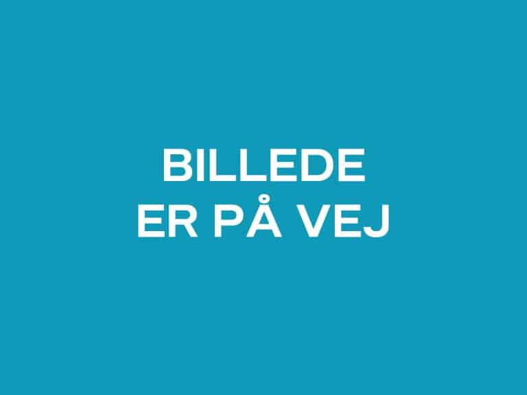 Midlertidig_personale Midlertidig_personale
